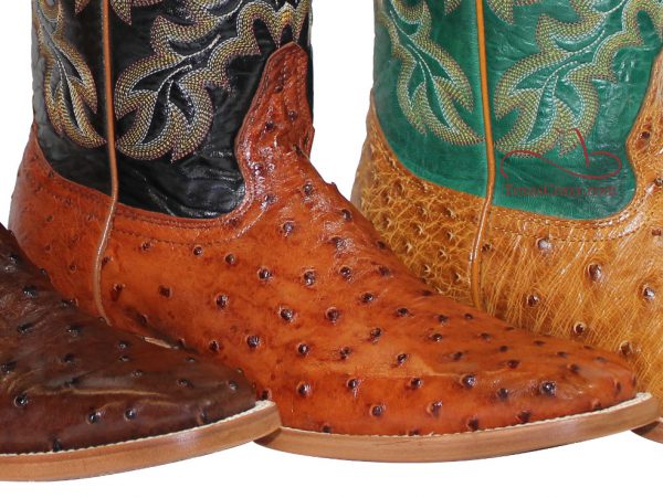 Texas Crazy | 3244-full-quill-ostrich-boots-11-vamp-closeup-f